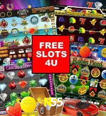 Logo N55 Loteria Online