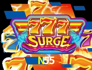 N55 公平游戏