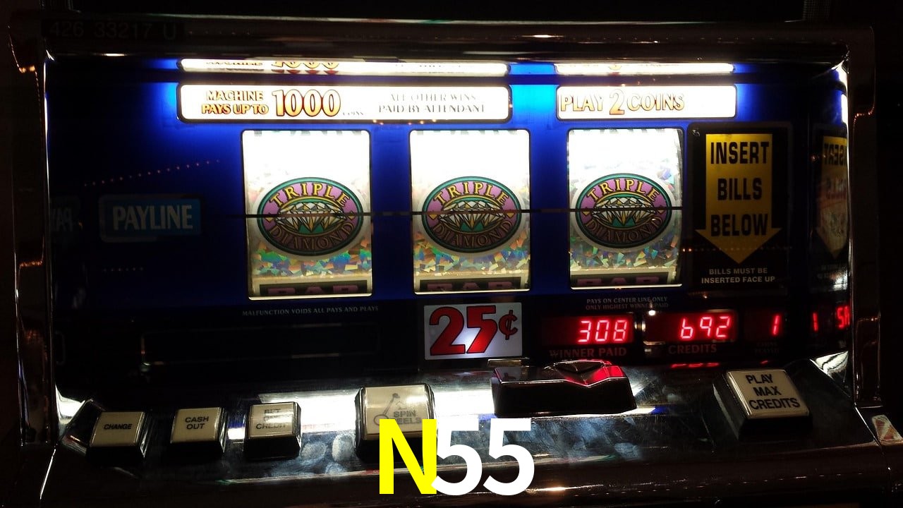 Programa VIP N55